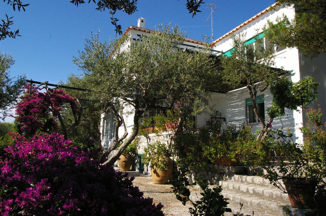 Il Rifugio B&B Capri Anacapri  Exterior foto
