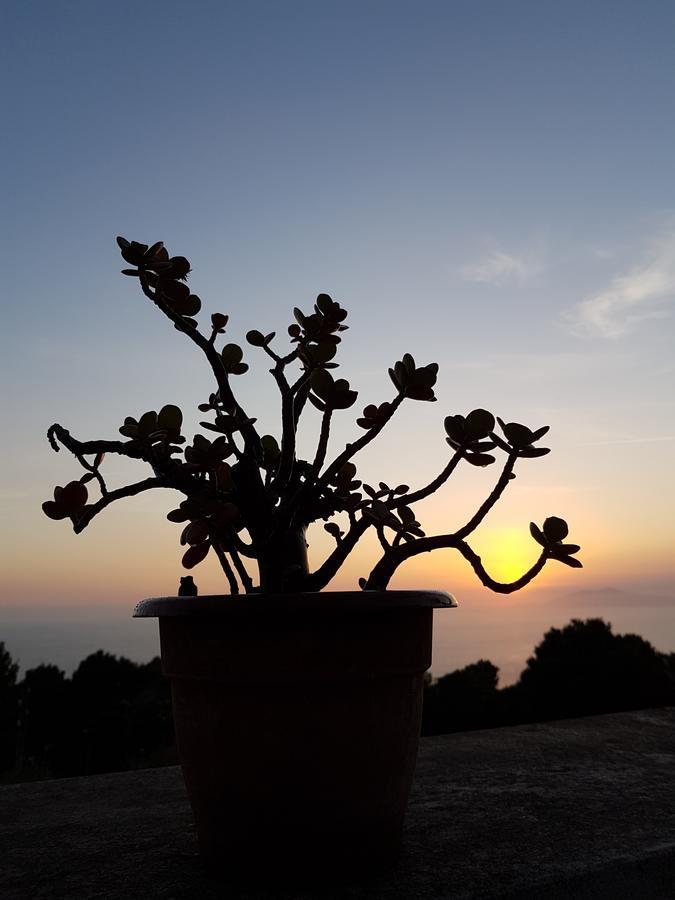 Il Rifugio B&B Capri Anacapri  Exterior foto
